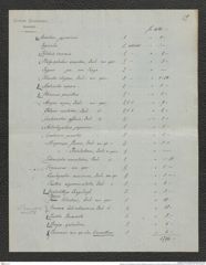 Nachlass Franz Steindachner, Brief und Beilage (Verzeichnis) von Gustav Schneider (senior) an Franz Steindachner (11.08.1882), Inv.Nr. 461.29, Seite 13